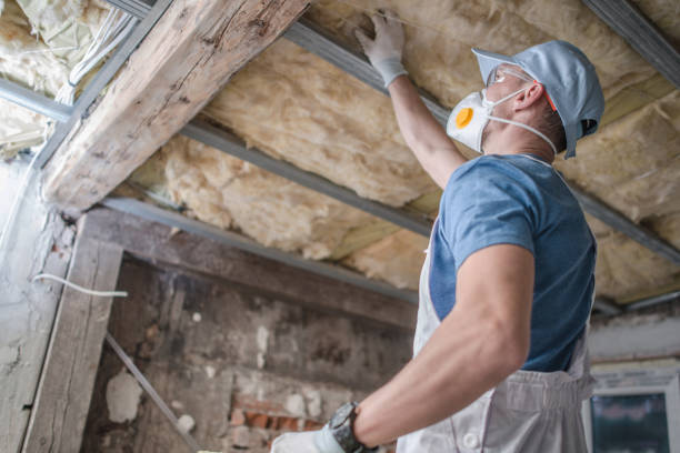 Professional Insulation Contractor in Belington, WV